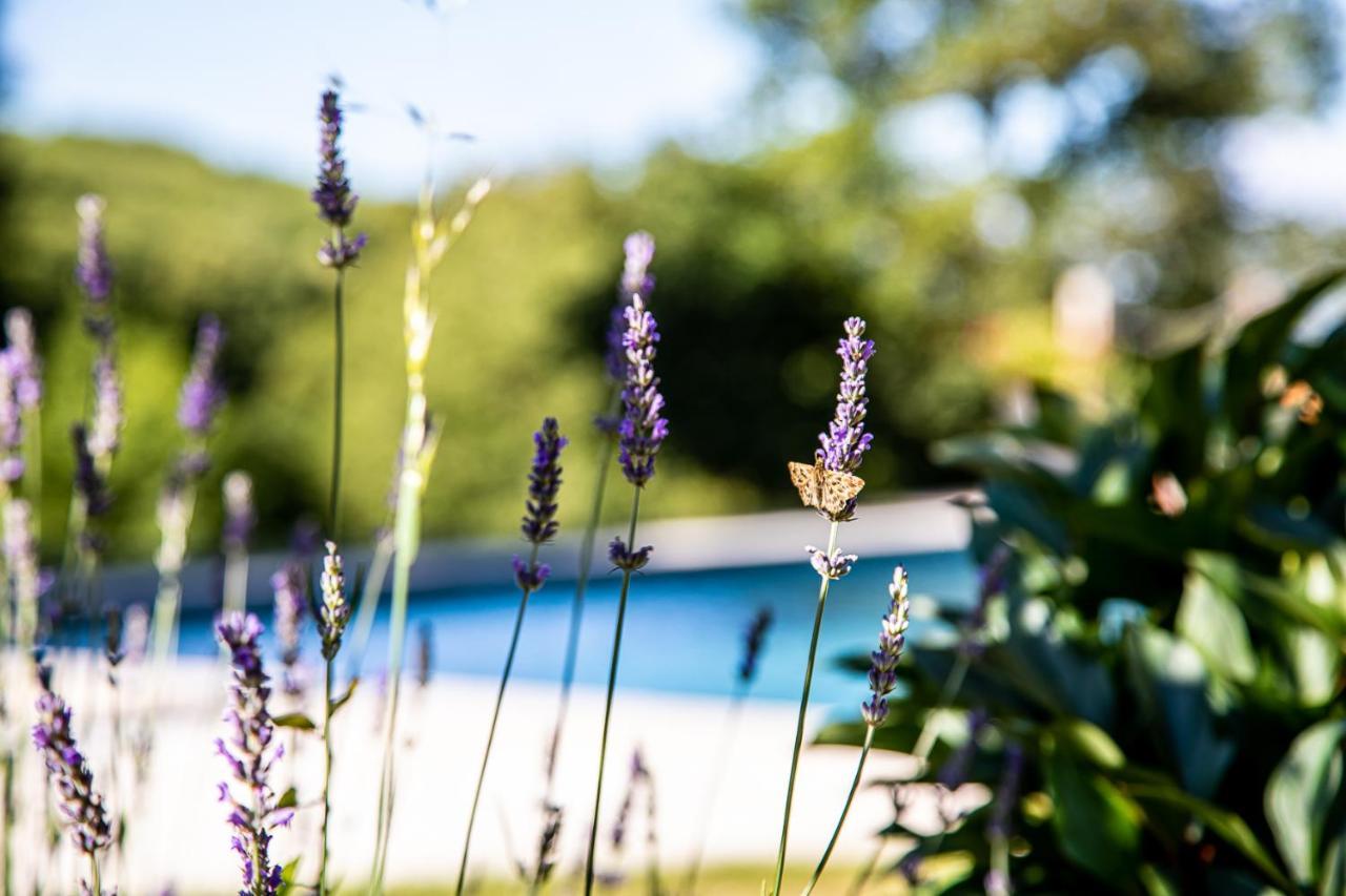 Le Mas Des Roches Proche Puy Du Fou Bed and Breakfast Saint-Paul-en-Pareds Esterno foto