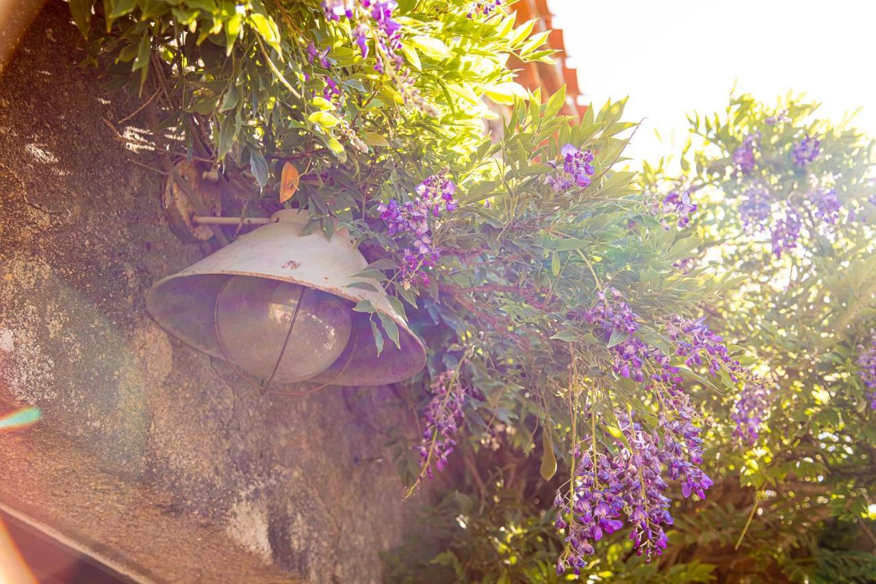 Le Mas Des Roches Proche Puy Du Fou Bed and Breakfast Saint-Paul-en-Pareds Esterno foto